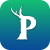 Palworld