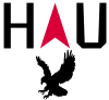 Hauk