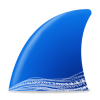 Wireshark